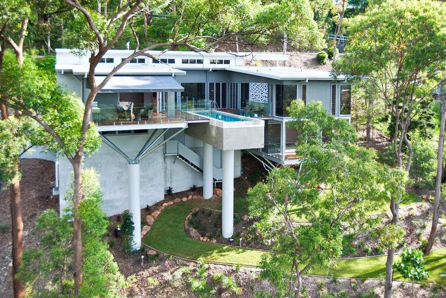 above-the-treetops